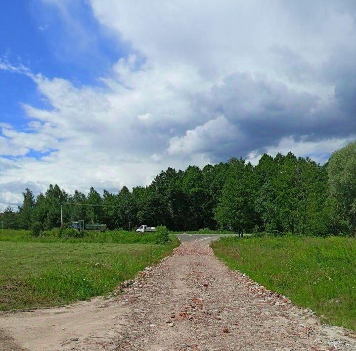 земля городской округ Павловский Посад пос. ЛПХ Ольгино, 1-я линия фото 9