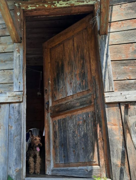 земля городской округ Дмитровский п Никольское 94 фото 19