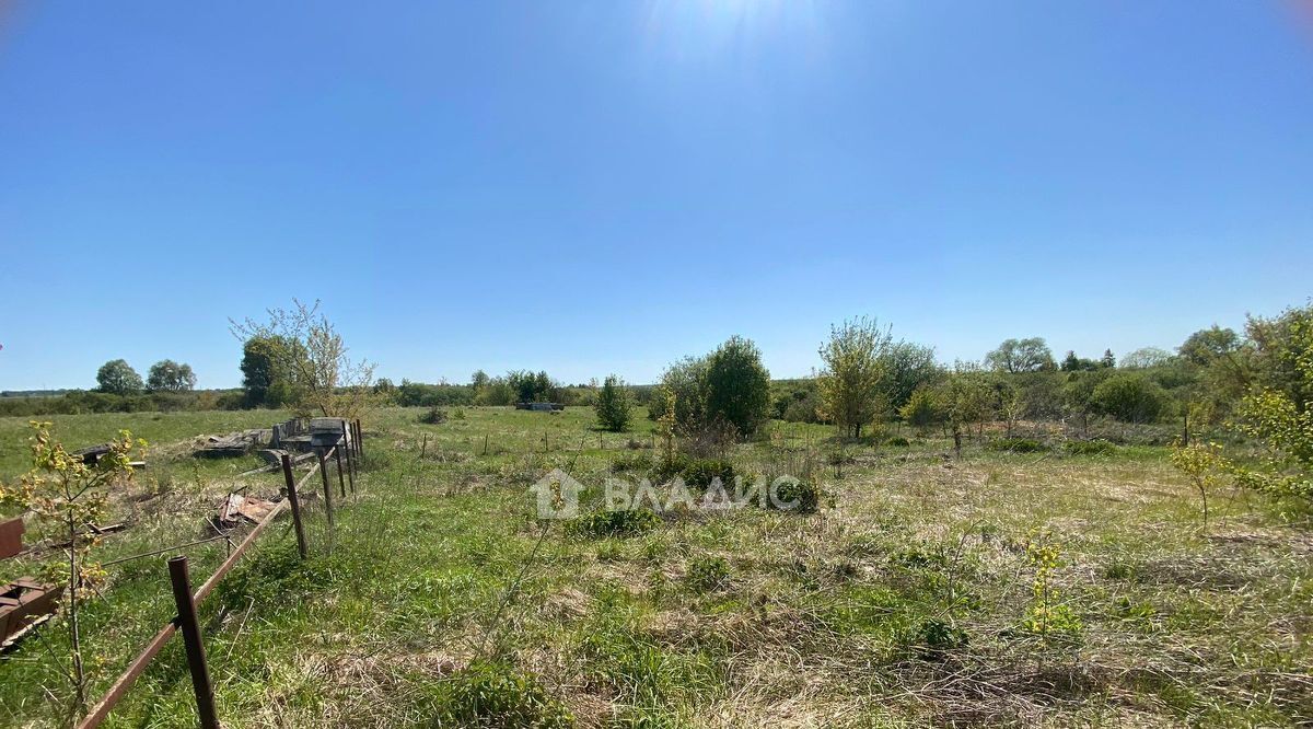 земля р-н Бессоновский с Чемодановка ул Садовая фото 3