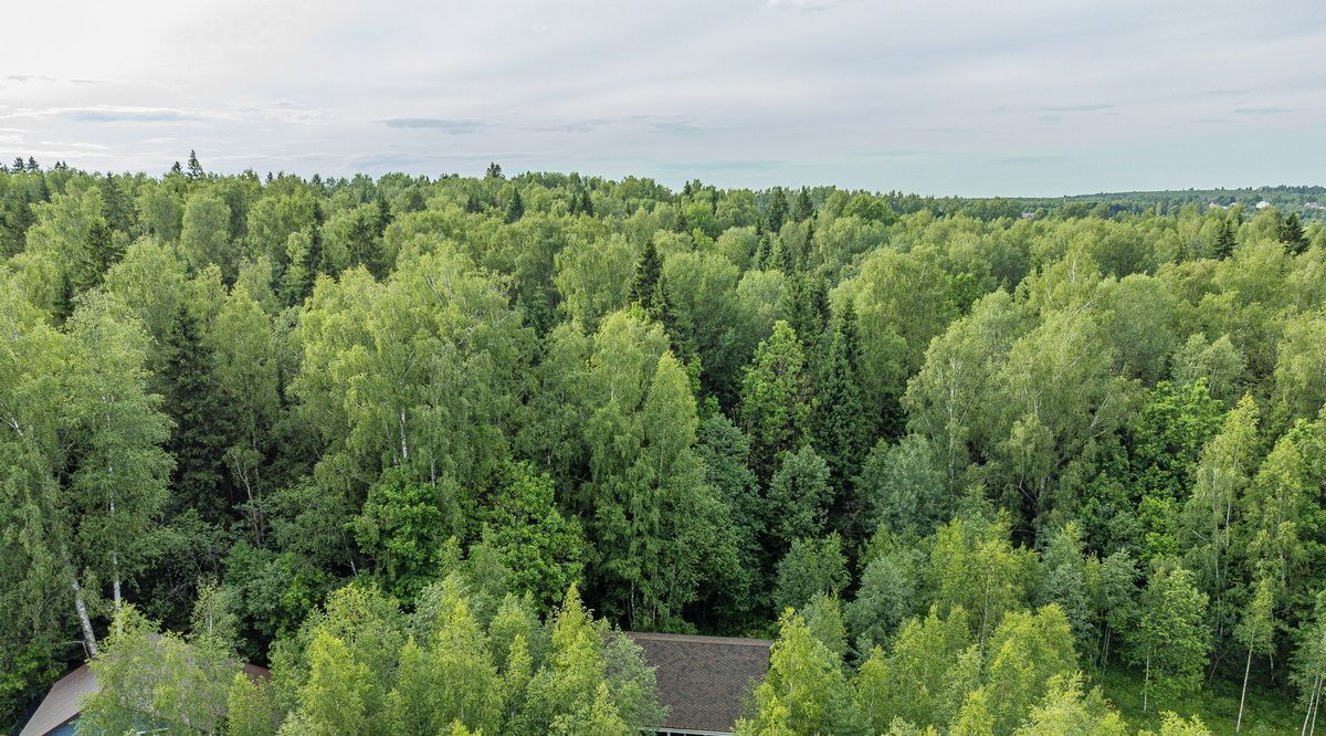 дом городской округ Дмитровский Удино-Парк кп, 253 фото 2