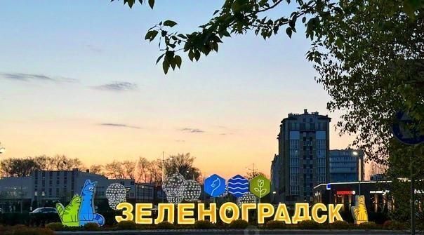 квартира р-н Зеленоградский г Зеленоградск ул Тургенева 10а фото 1