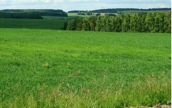 земля р-н Кармаскалинский д Ульяновка ул Тульская 16 фото 3