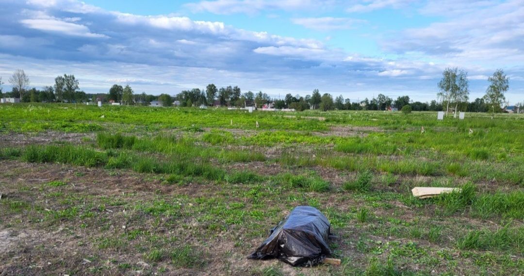 земля р-н Всеволожский д Новосергиевка Заневское городское поселение, Оккер Вилла кп, ул. Лесная фото 2