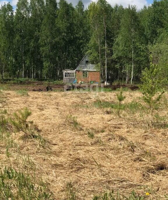 земля р-н Нижнетавдинский снт Моторостроитель ул Виноградная 126 фото 4