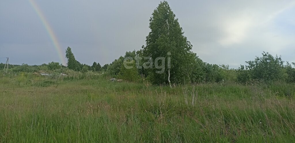 земля р-н Нижнетавдинский с Тюнево фото 5