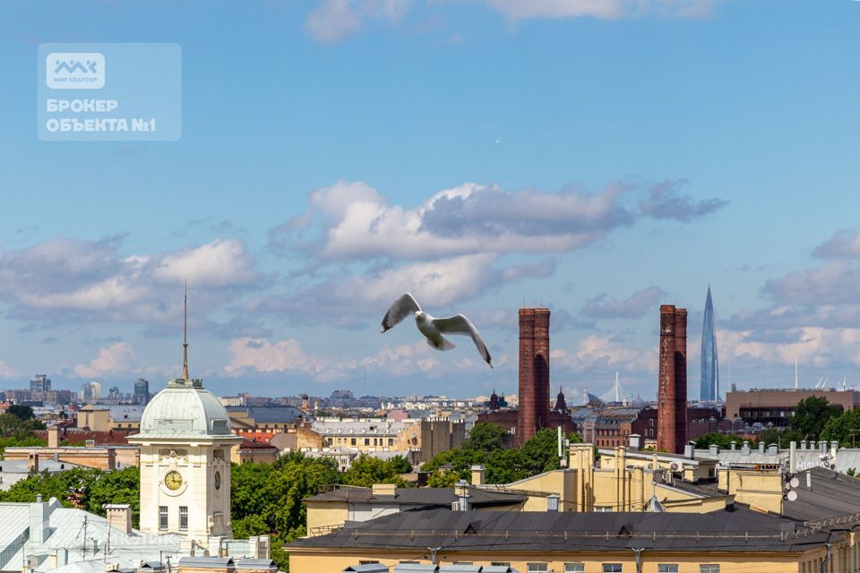 квартира г Санкт-Петербург пер Подъездной 12 округ Семёновский фото 4