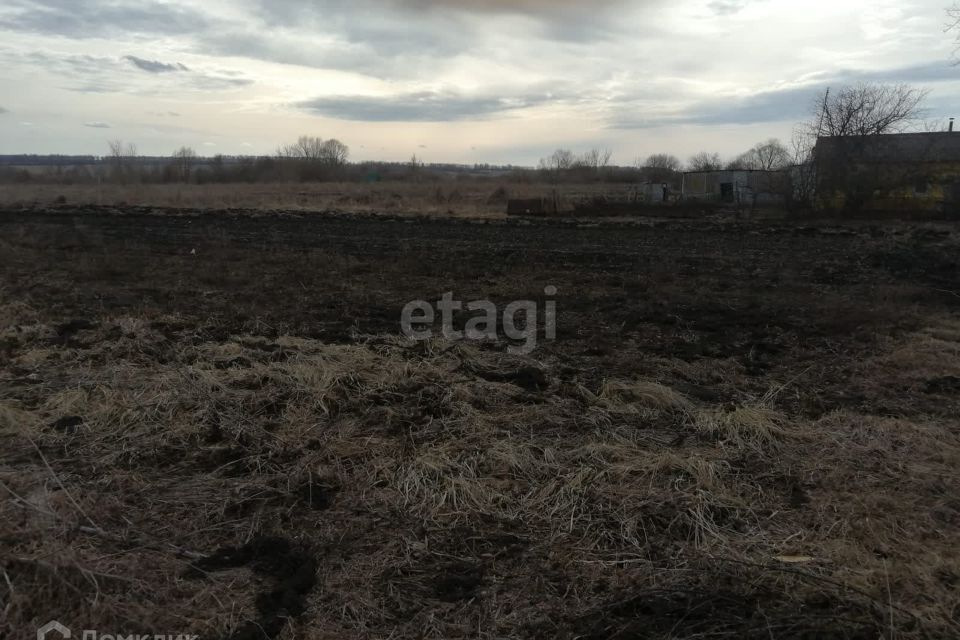 земля городской округ Саранск, село Напольная Тавла фото 2
