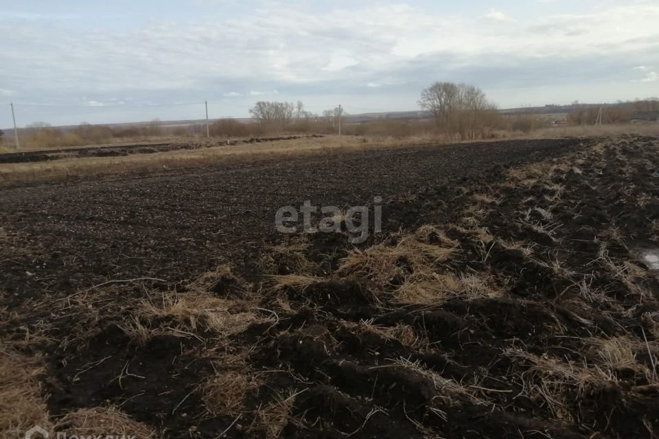 земля городской округ Саранск, село Напольная Тавла фото 4