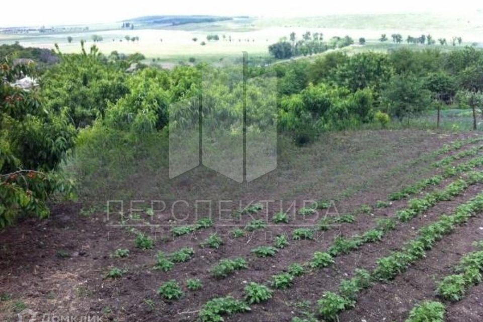 земля р-н Брюховецкий х Победа муниципальное образование Новороссийск, улица Шаумяна фото 1