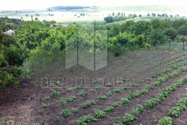 муниципальное образование Новороссийск, улица Шаумяна фото