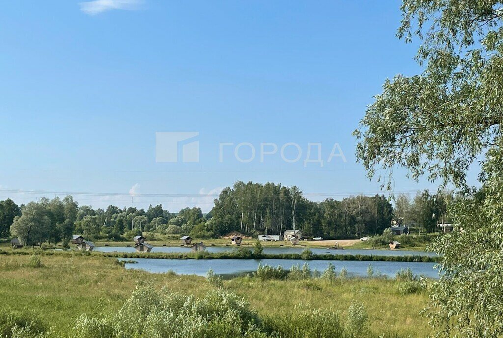 земля городской округ Раменский ДНТ Васильково городской округ Чехов фото 10