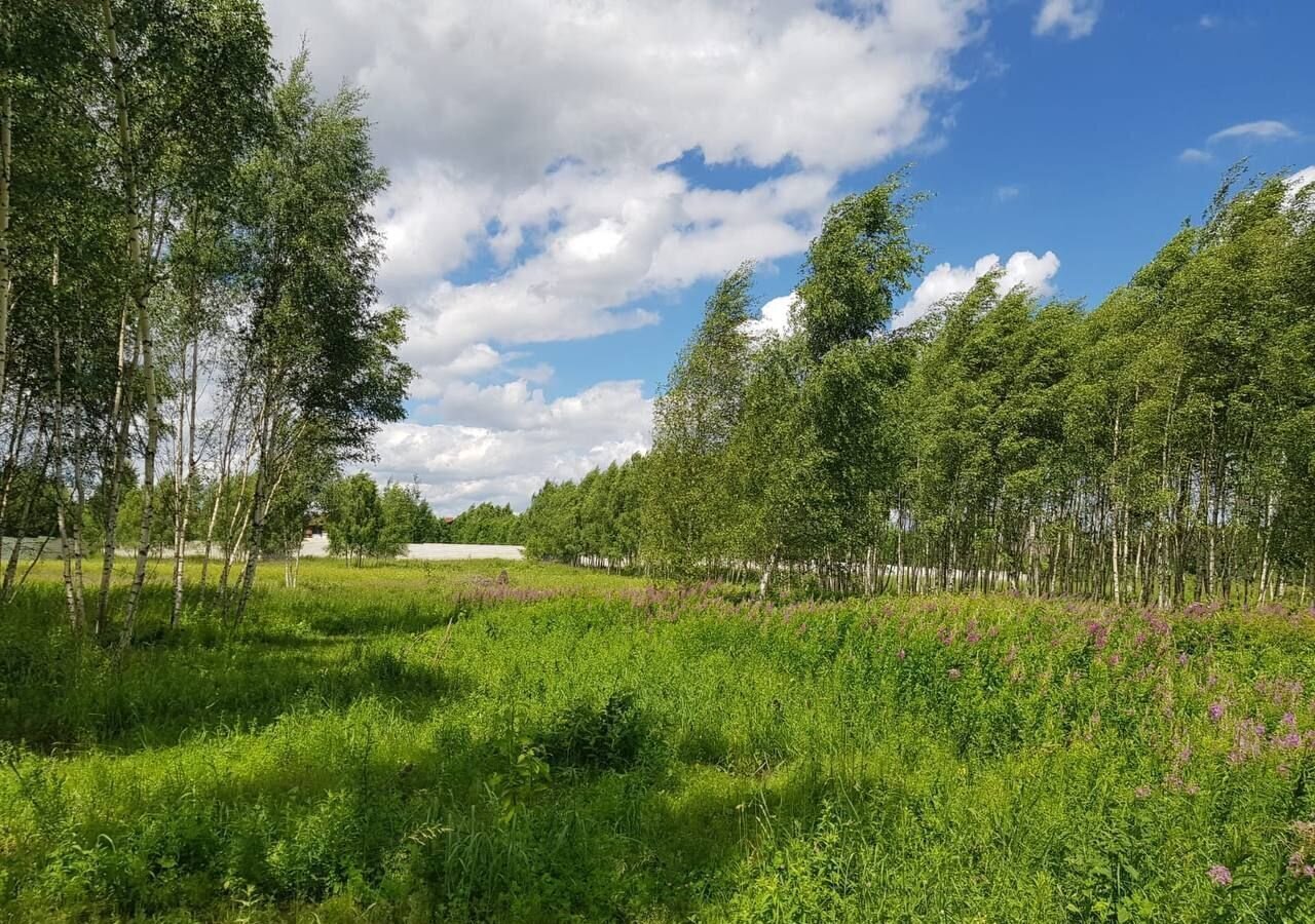 земля городской округ Дмитровский д Варварино Деденево фото 17