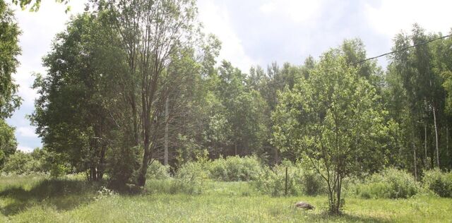 земля снт Залесье ул Летняя Переславль-Залесский городской округ фото