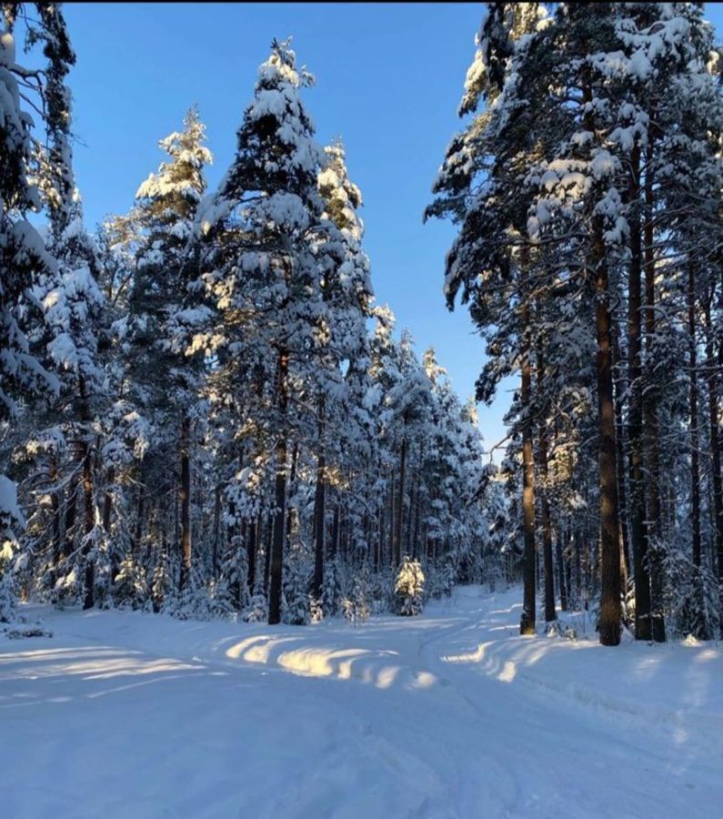 земля р-н Весьегонский г Весьегонск д Стрелица фото 13