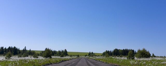 д Красный Кустарь фото