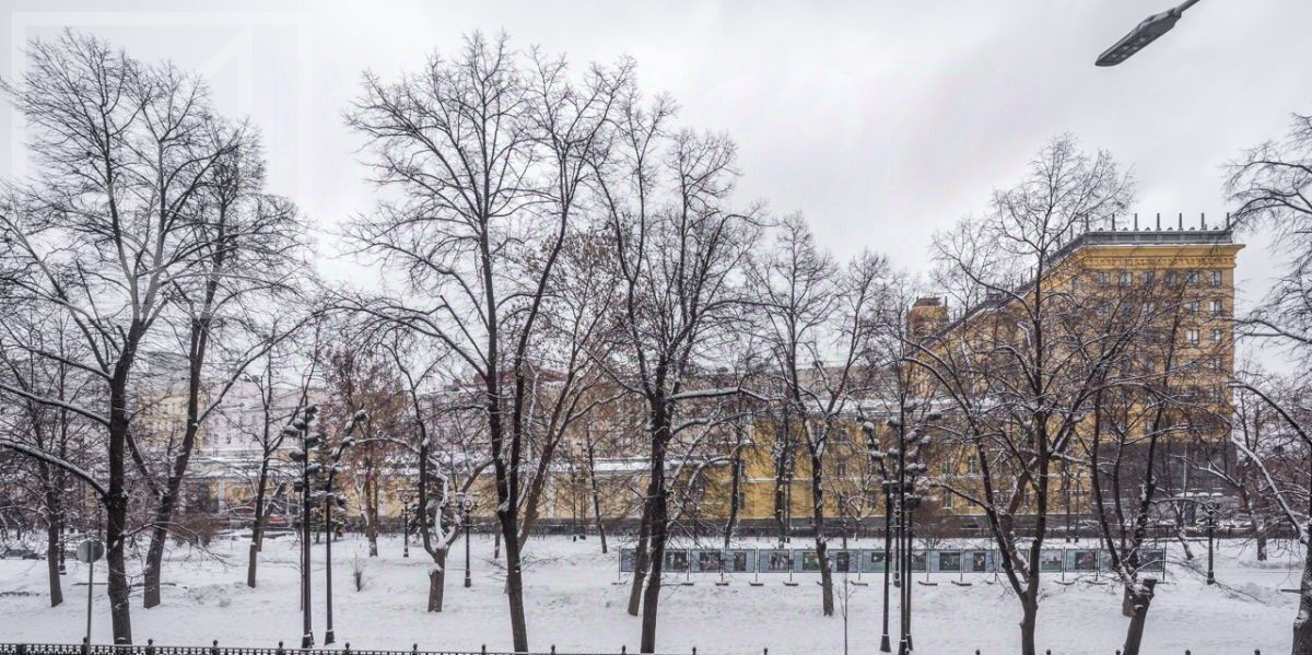 квартира г Москва метро Арбатская б-р Гоголевский 29 фото 28