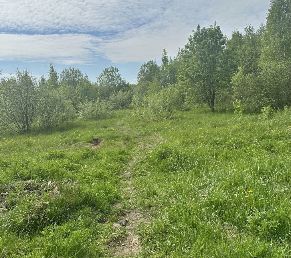 земля городской округ Павловский Посад п Большие Дворы фото 21