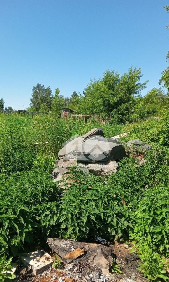 земля р-н Новосибирский снт Восход Новосибирск фото 4