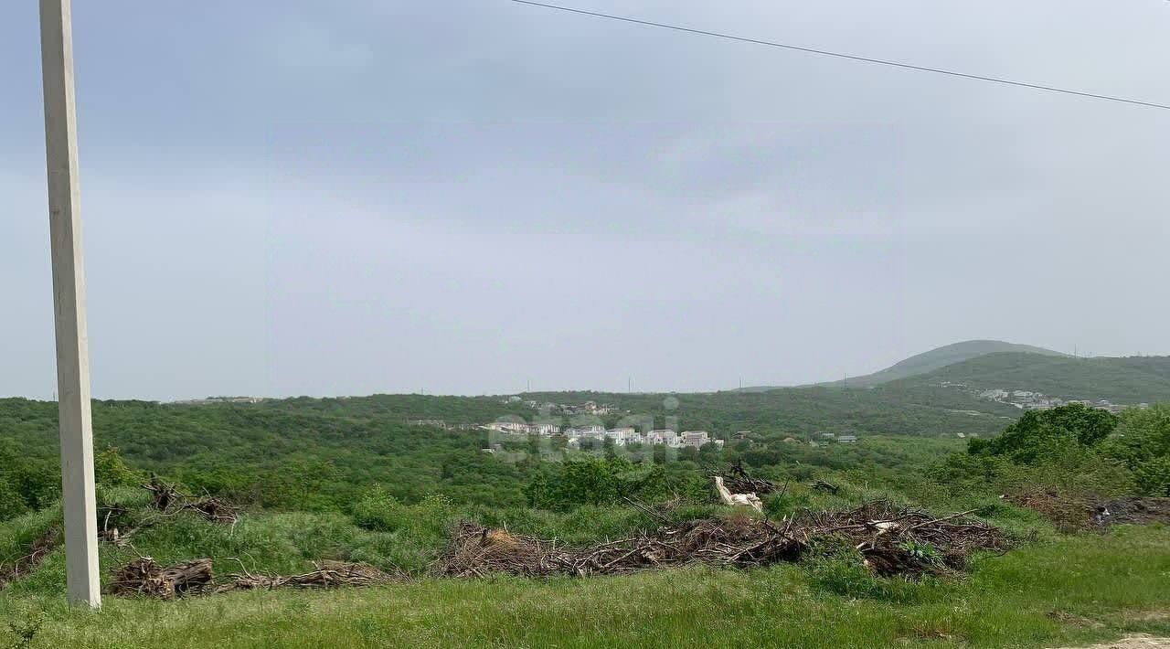 земля г Новороссийск с Борисовка муниципальное образование фото 3