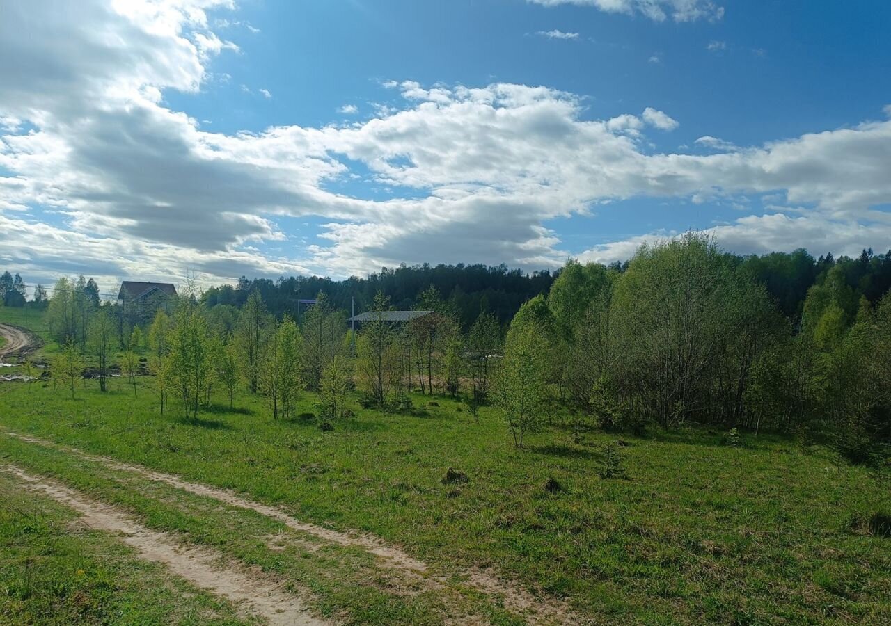 земля городской округ Рузский д Барынино Руза фото 9