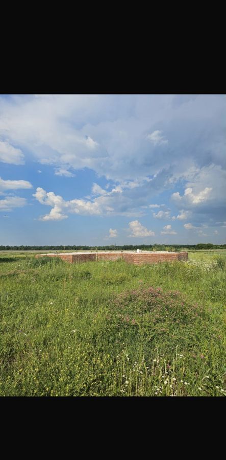 земля Выездное, г. о. Арзамас, д. Озерки фото 3