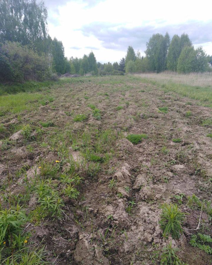 земля р-н Богородский д Выболово Богородск фото 2