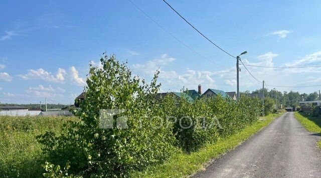 офис городской округ Раменский ДНТ Васильково Чехов городской округ фото