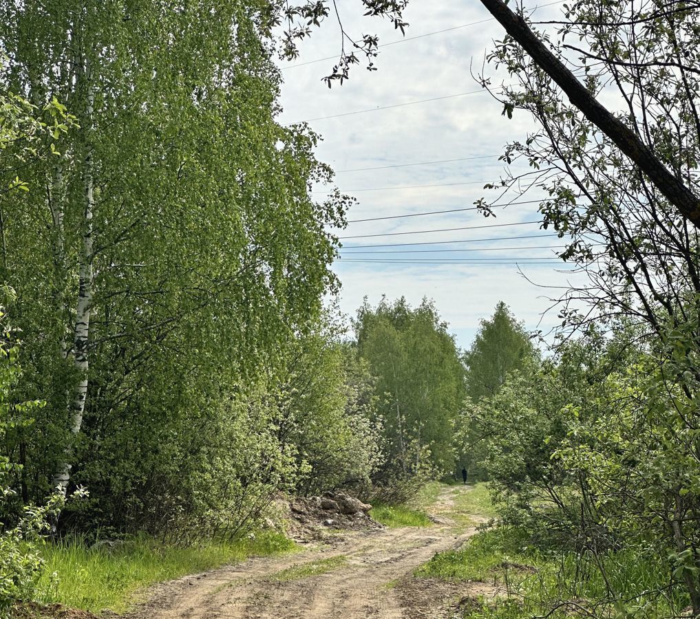 земля городской округ Богородский г Электроугли фото 16