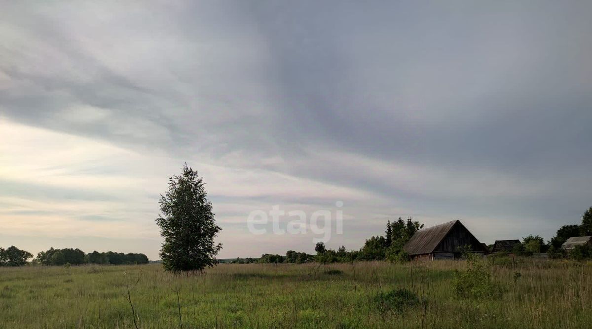 земля р-н Бессоновский д Васильевка ул Центральная 8 фото 6