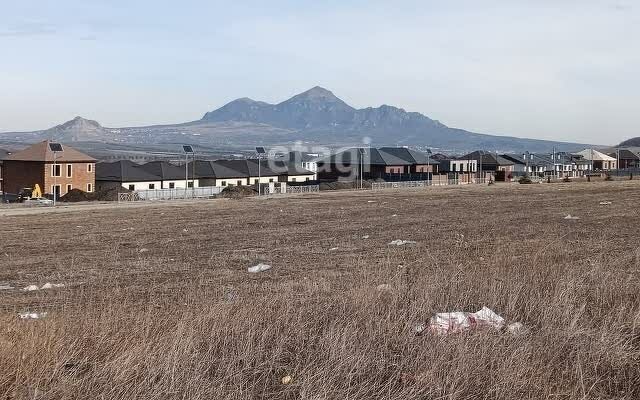 земля р-н Предгорный ст-ца Суворовская ул Колхозная фото 3