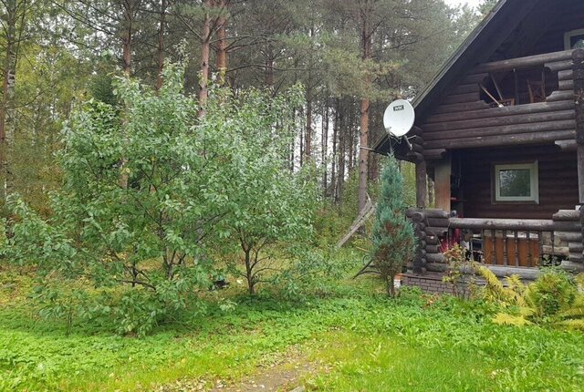 городской посёлок Вырица, переулок Лазо фото