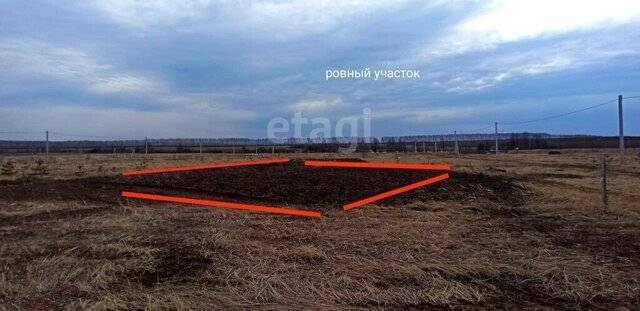 земля г Бирск с Пономаревка городское поселение Бирск фото