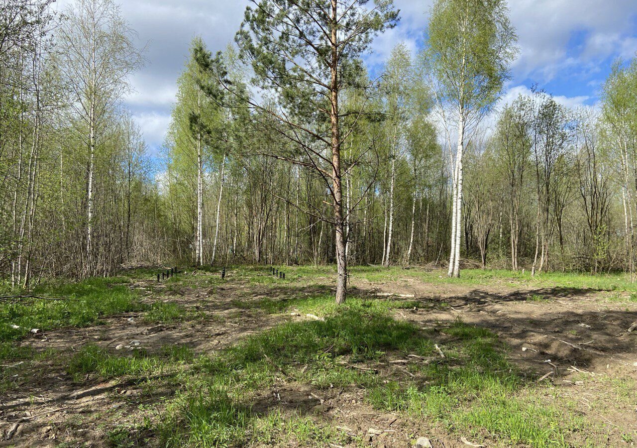 земля р-н Ивановский снт тер.Архитектор Богородское сельское поселение, Иваново фото 11