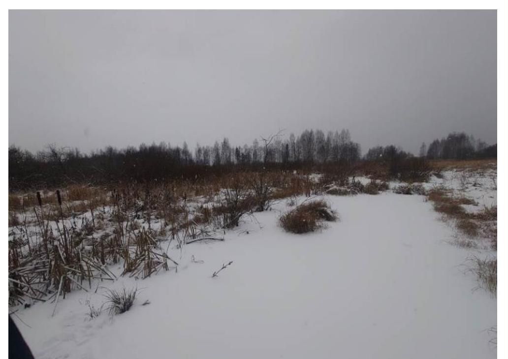 земля городской округ Сергиево-Посадский с Заболотье Богородское фото 2