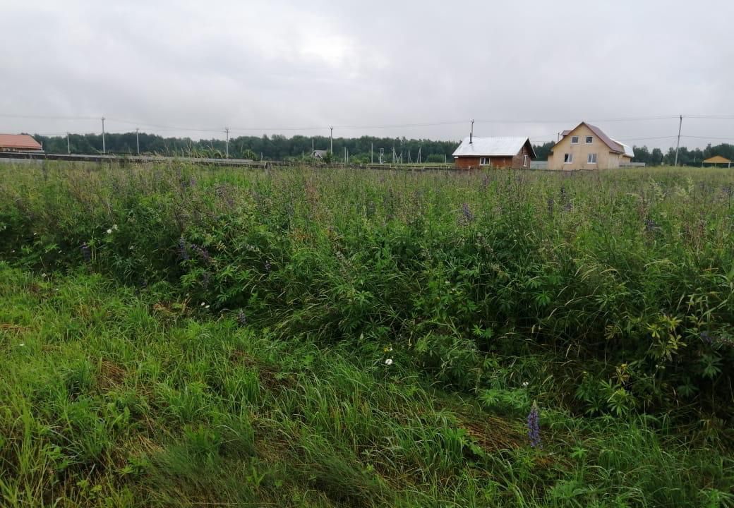земля городской округ Шаховская садоводческое некоммерческое товарищество Малиновка фото 5