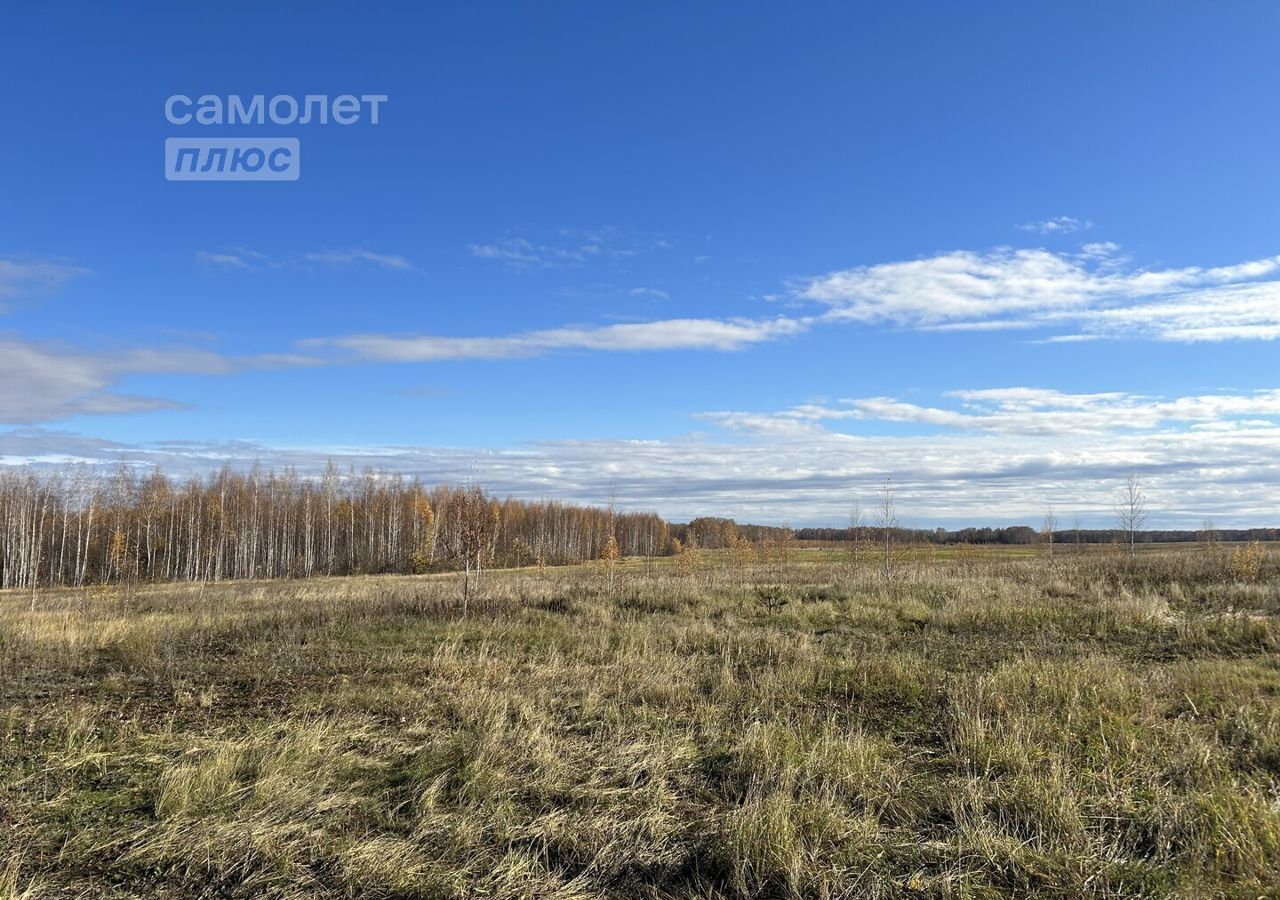 земля р-н Красноармейский с Бродокалмак Сугоякское сельское поселение, озеро Сугояк-2 фото 9