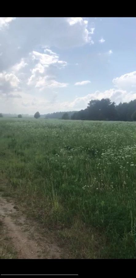 земля городской округ Дмитровский д Княжево Вербилки фото 1