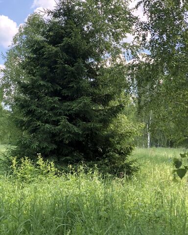 с Мышенское Михнево фото