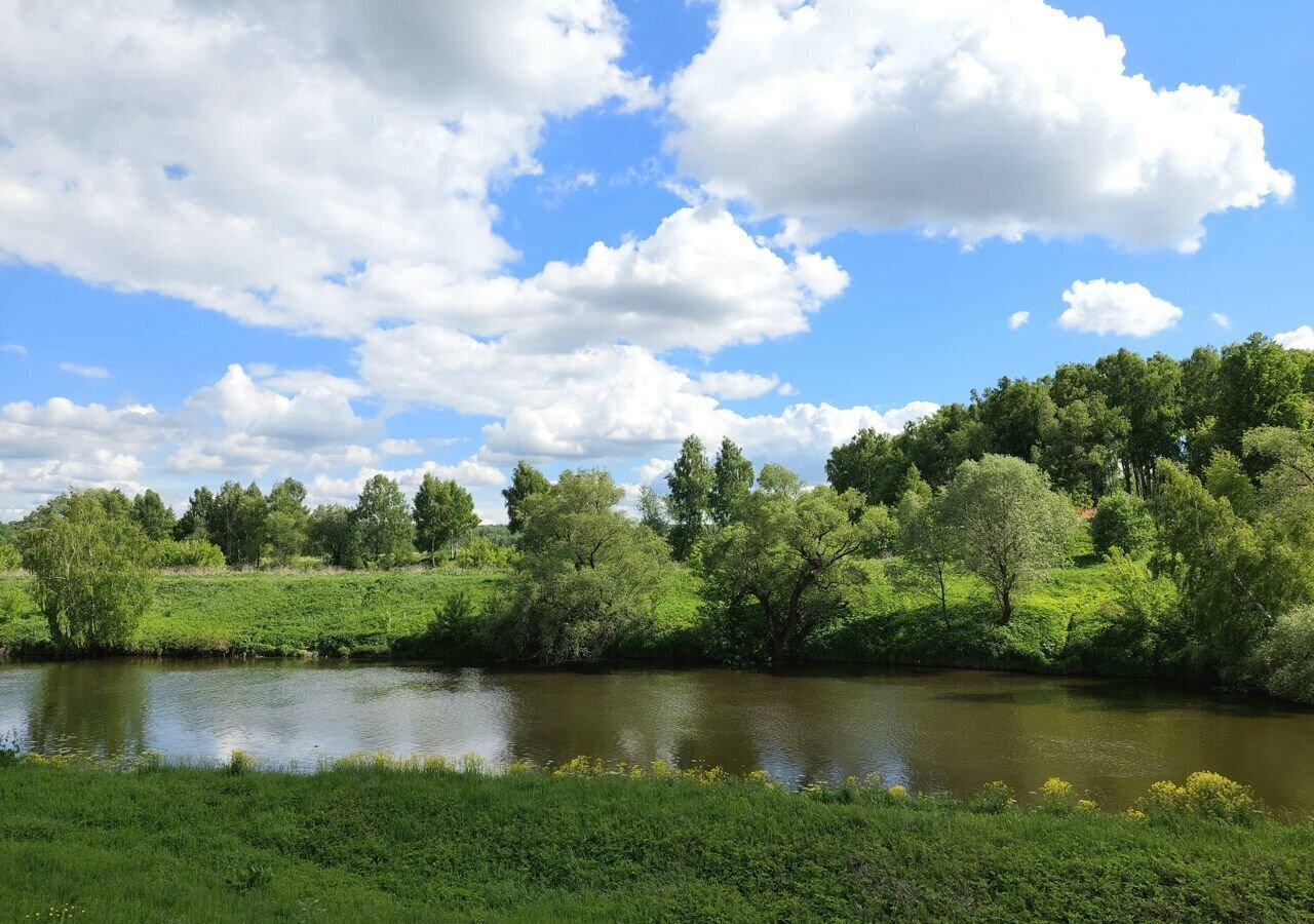 земля городской округ Ленинский д Андреевское ул Слободская 2 Лыткарино фото 4