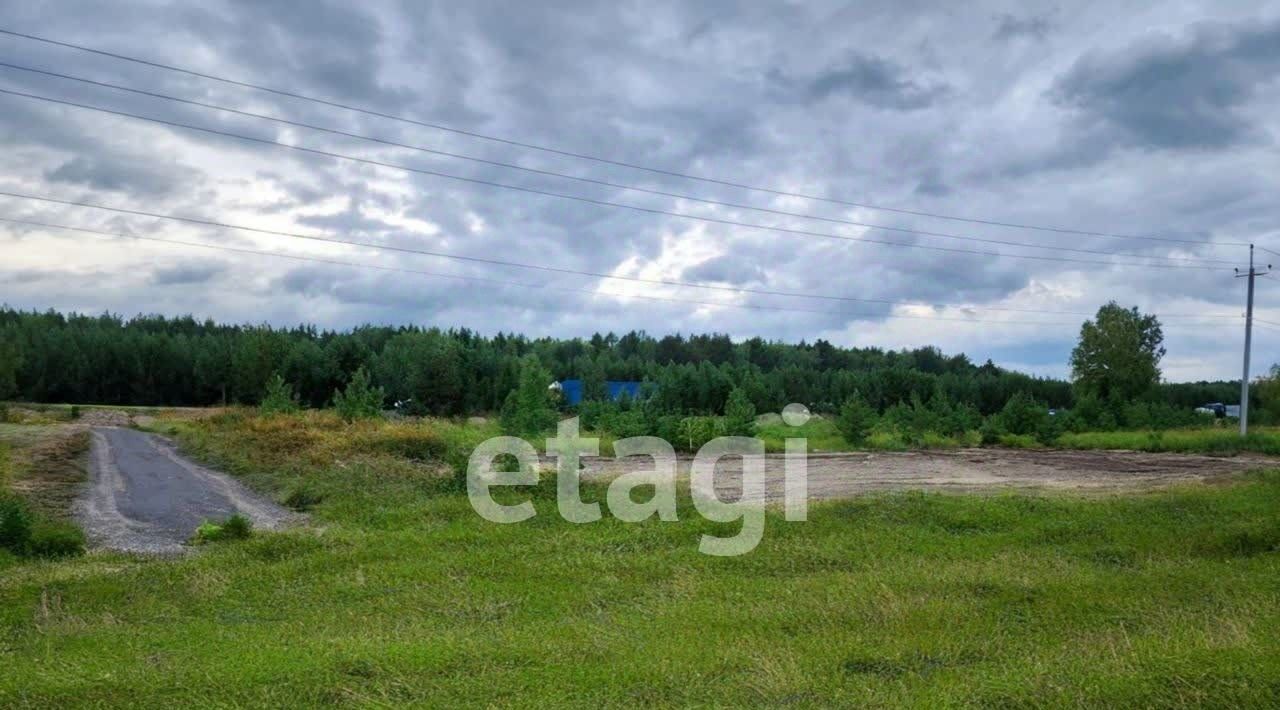 земля р-н Емельяновский д Сухая Емельяново городское поселение фото 8