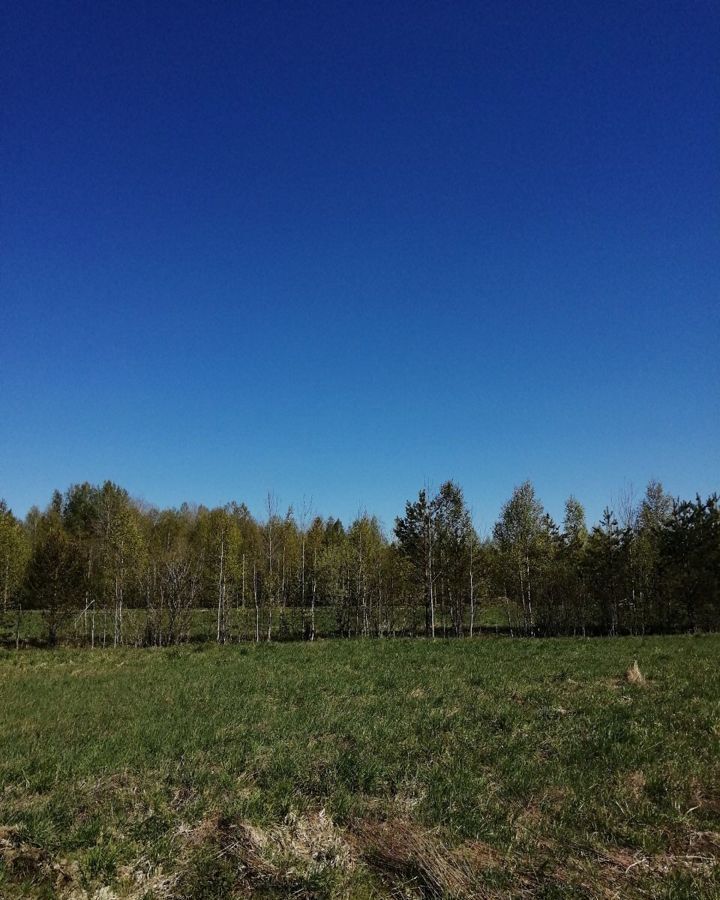 земля р-н Выборгский п Дятлово Советское городское поселение, коттеджный пос. Новое Дятлово, Каменка фото 2