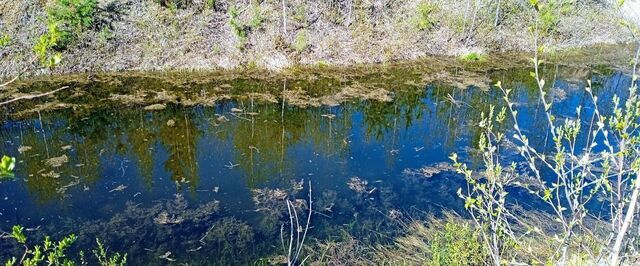 земля с Черданцево Бобровский фото