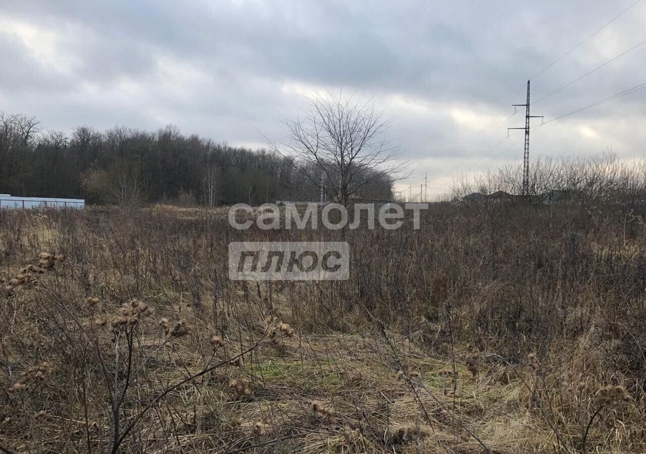 земля городской округ Домодедово с. Красный Путь, Черешневая ул фото 4