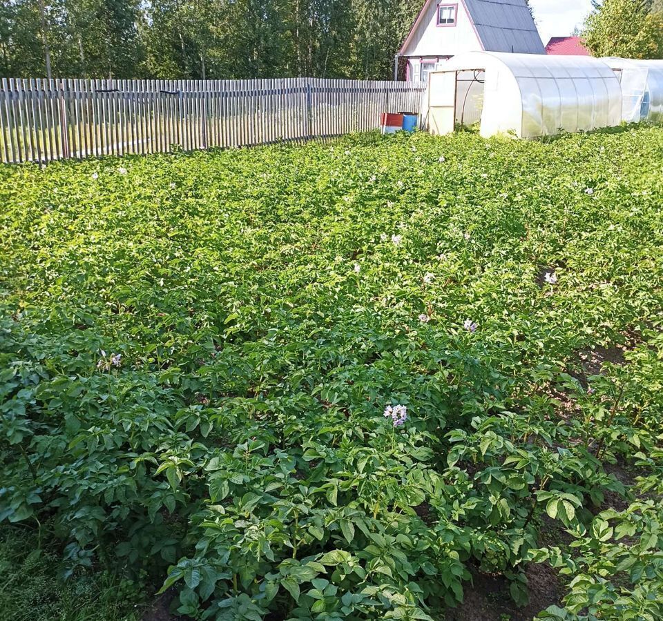 земля г Нижневартовск Тюменская обл. фото 1