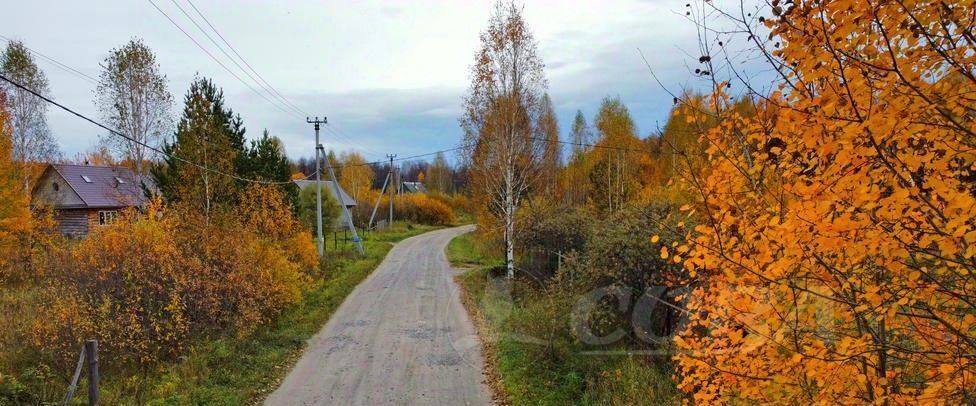 земля р-н Нижнетавдинский снт Геофизик-2 фото 8