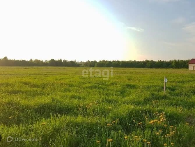 земля г Барнаул п Черницк ул Центральная 7 р-н Центральный городской округ Барнаул фото 1