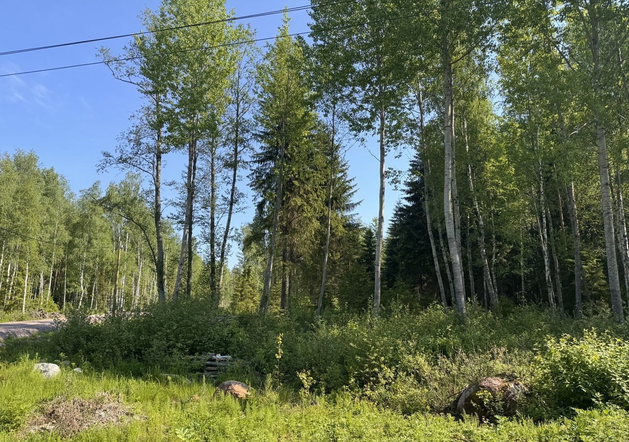 земля р-н Выборгский п Красная Долина Приморское городское поселение, некоммерческое партнерство Русь, дачное фото 1