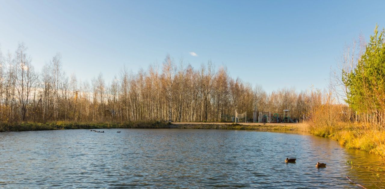 дом р-н Ломоносовский Виллозское городское поселение, Красногорское СНТ, Проспект Ветеранов, 7-я линия фото 22