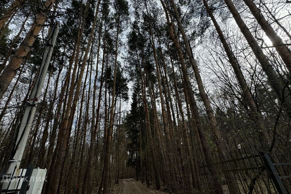 земля городской округ Одинцовский д Шульгино ул Центральная 25 фото 7