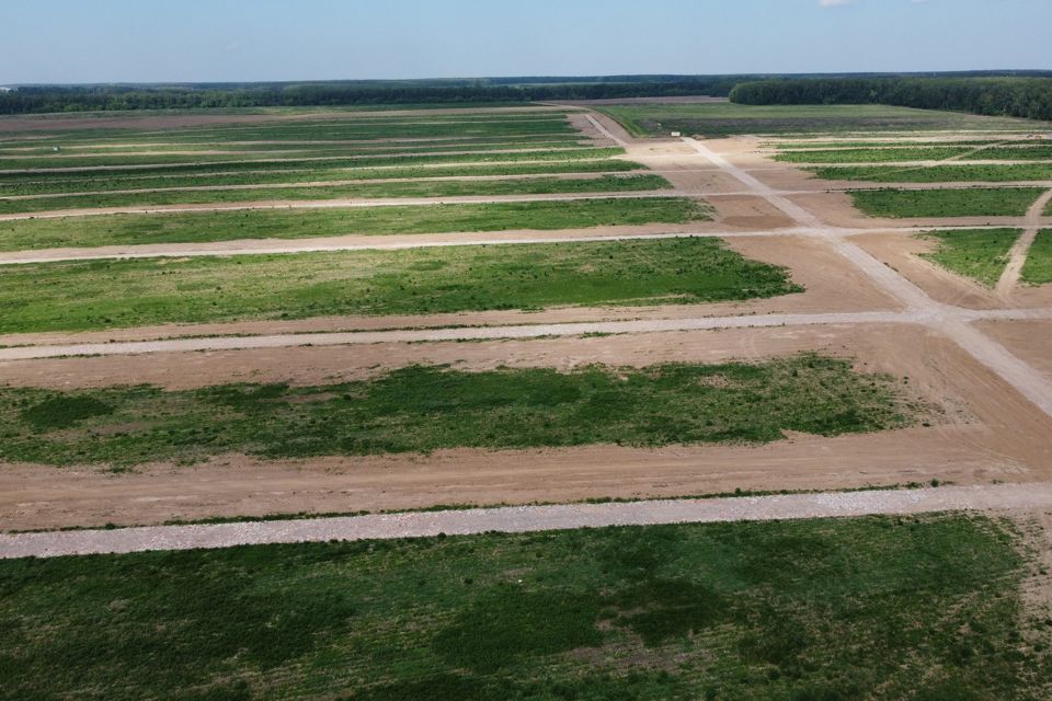 земля городской округ Домодедово коттеджный посёлок Барыбино, 1330 фото 6